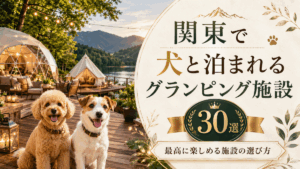 関東で犬と泊まれるグランピング施設30選！最高に楽しめる施設の選び方