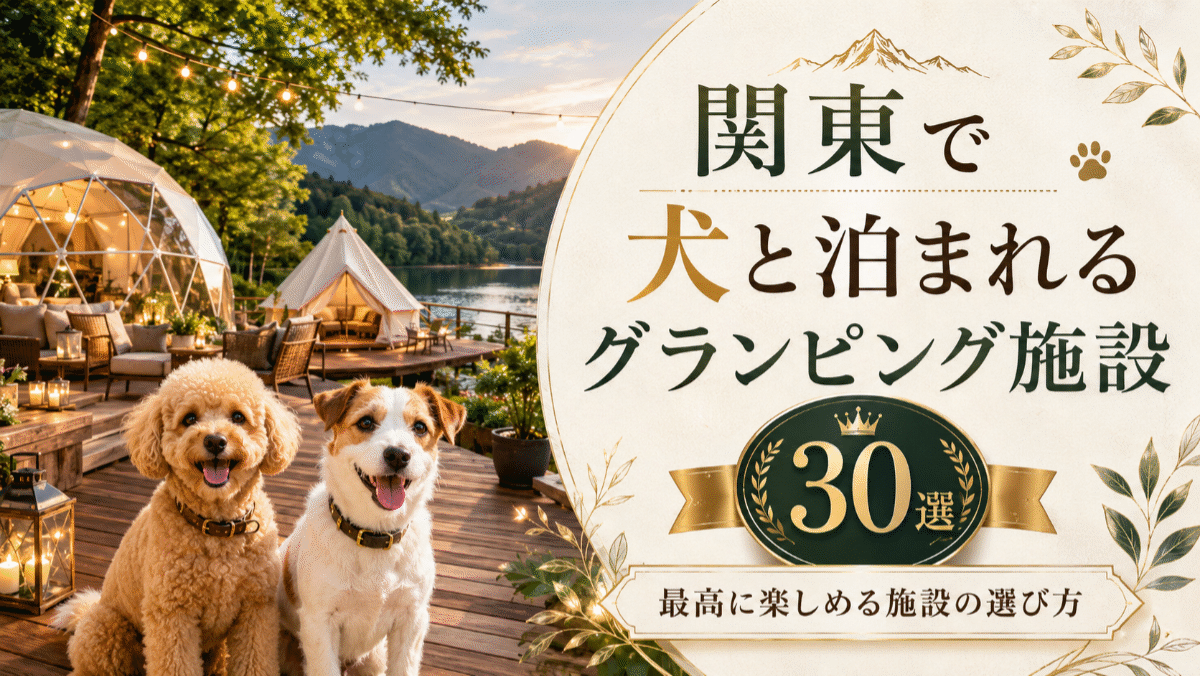 関東で犬と泊まれるグランピング施設30選！最高に楽しめる施設の選び方